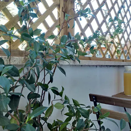 L'imperiale Romatrastevere 3* Rom